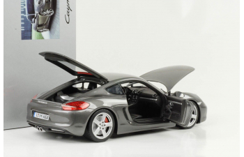 PORSCHE Cayman S 981 (2013) grey