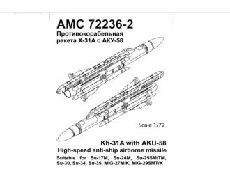 Набор для доработки Советская / российская противокорабельная ракета Х-31А с пилоном АКУ-58