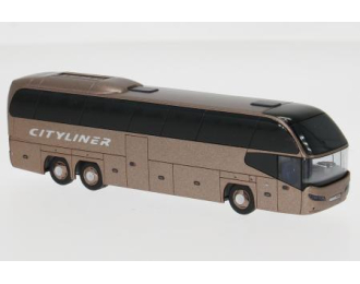 NEOPLAN Cityliner (2020), brown