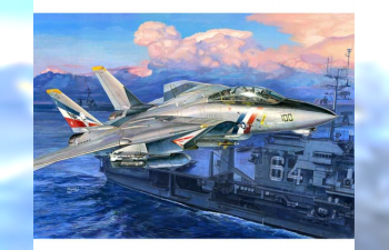 Сборная модель Американский истребитель Grumman F-14D Super Tomcat