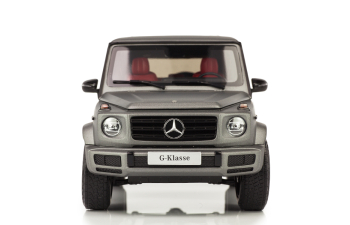 MERCEDES-BENZ W463 G-Klasse W463 II (2018), designo platinum magno