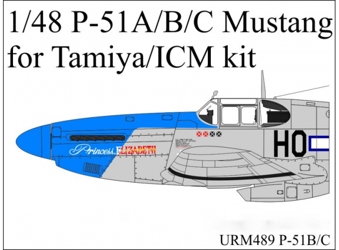 Маска окрасочная P-51A/B/C MUSTANG (Tamiya/ICM)