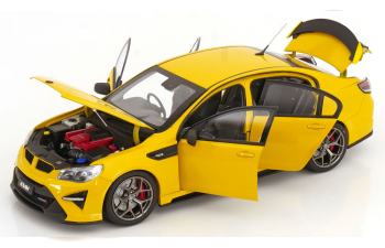 HOLDEN HSV GTSR Heron, yellow