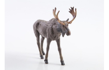 Дикие животные России № 11: Лось