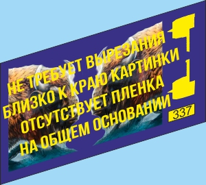 Набор декалей Аэрография Зубр для Минский