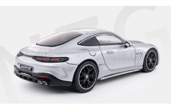 MERCEDES-BENZ AMG GT63 V8 Biturbo (C192) (2025), silver