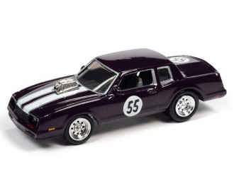 CHEVROLET Monte Carlo #55 (1985), violett