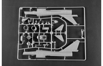 Сборная модель многоцелевой истребитель ВВС Филиппин J-10CE и израильский Rafale 2 в 1