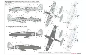 Сборная модель Kawasaki Ki61-I Tei Type 3 Fighter Hien (Tony) '244th Flight Regiment Metropolitan Defense'