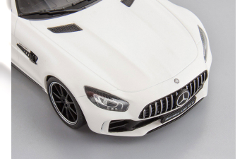 Mercedes-AMG GT-R (white)