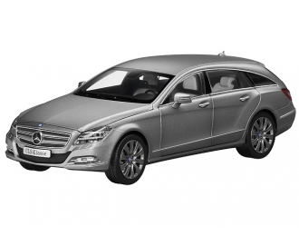 MERCEDES-BENZ CLS Shooting Brake X218 (2012), alanit grey