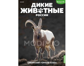 Дикие животные России № 42: Сибирский горный козёл