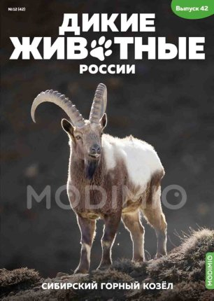 Дикие животные России № 42: Сибирский горный козёл
