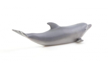 Дикие животные России № 16: Дельфин афалина (только вложение)