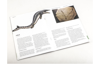 Выпуск №26. Камни и минералы. Тайны недр, Волластонит