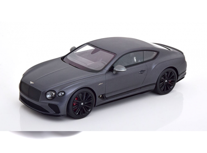 BENTLEY Continental GT Speed, matt-grey metallic