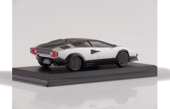 LAMBORGHINI Countach Evoluzione (1987), silver / matt black