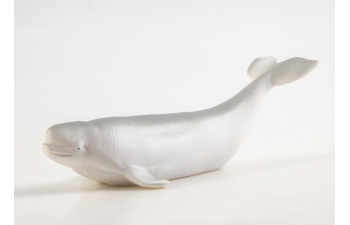 Дикие животные России № 33: Белуха (только вложение)