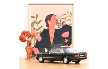 MERCEDES-BENZ 560 SEL (1991), black
