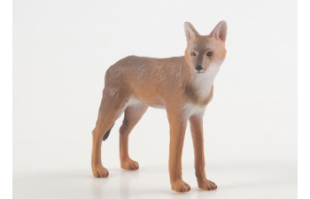 Дикие животные России № 32: Шакал