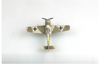 Focke-Wulf Fw 190A Display Model Luftwaffe 5./JG 54 Grunherz Black 5 USSR June 1943