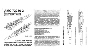 Набор для доработки Советская / российская противокорабельная ракета Х-31А с пилоном АКУ-58