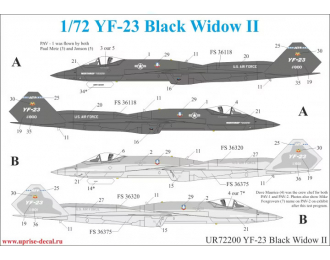 Декаль для YF-23 Black Widow II