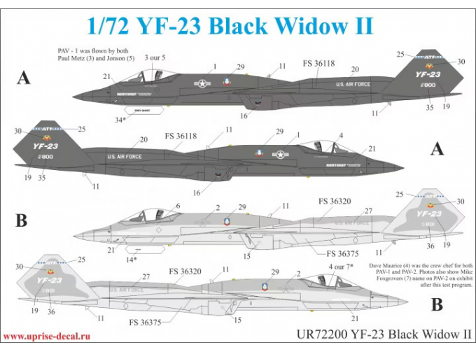 Декаль для YF-23 Black Widow II