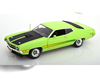 FORD Torino Cobra (1971), light green matt-black