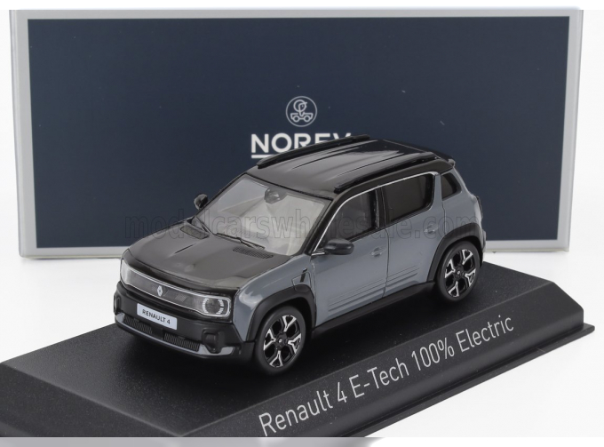 RENAULT R4 E-tech (2025), Grey