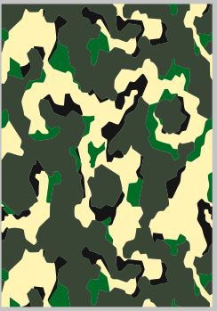 Набор декалей Камуфляж 5 (200х290)