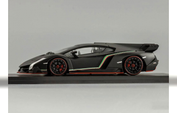 LAMBORGHINI Veneno, matt black