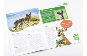 Дикие животные России № 14: Косуля