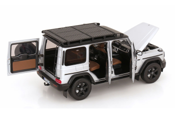 MERCEDES-BENZ G-Class G500 Professional Line 4x4 (W465) (2024), Iridium Silver