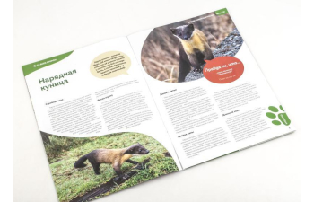 Дикие животные России № 36: Харза