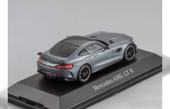 MERCEDES-BENZ AMG GTR Coupe (C190), grey metallic