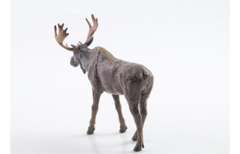 Дикие животные России № 11: Лось