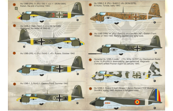 Henschel Hs 129 Wet decal