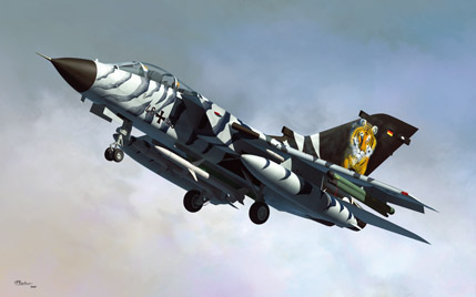 Сборная модель Самолёт Tornado ECR