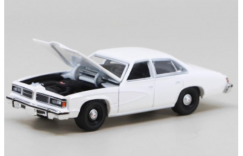 PONTIAC LeMans Enforcer (1976-77), white