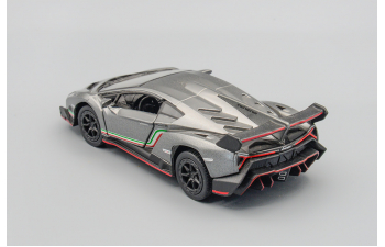 LAMBORGHINI Veneno, Gray