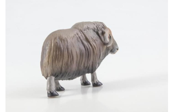 Дикие животные России № 31: Овцебык (только вложение)