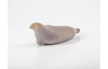 Дикие животные России № 28: Морской заяц (только вложение)