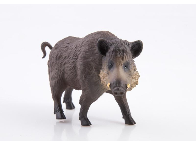 Дикие животные России № 5: Кабан (только вложение)