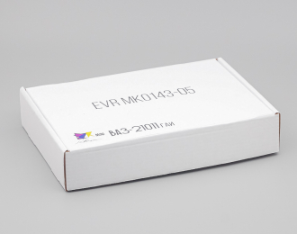 Сборная модель ВАЗ 21011 Милиция