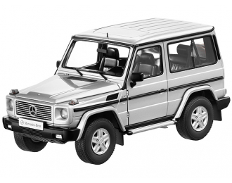 MERCEDES-BENZ G500 W463 (1998), silver