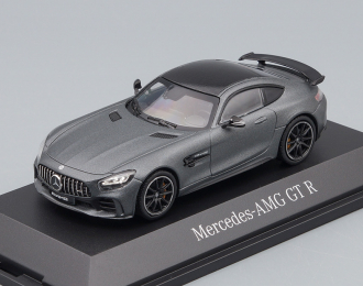 MERCEDES-BENZ AMG GT-R 2019 V8 Biturbo C190, grey metallic