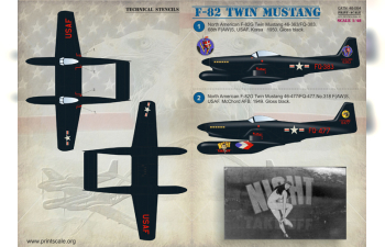 Декаль F-82 Twin Mustang