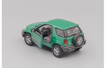 TOYOTA RAV4 (2000), green