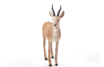 Дикие животные России № 17: Джейран